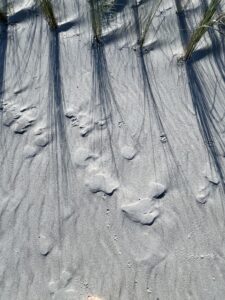 Sand. Foto: Hufner