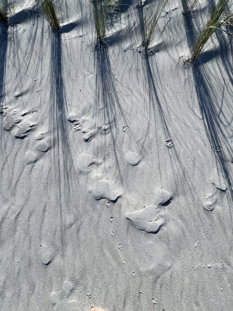 Sand. Foto: Hufner