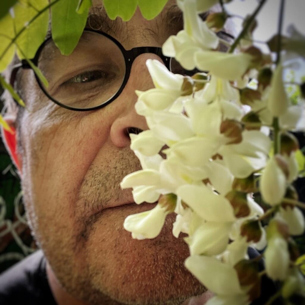 Nase in Robinie. Foto: Hufner