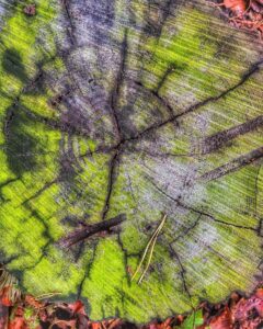 #landkarte der #natur.