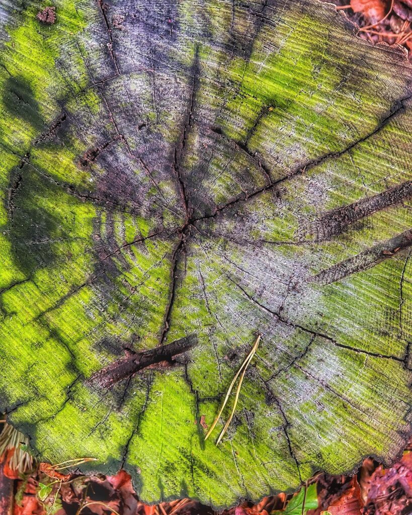 #landkarte der #natur.