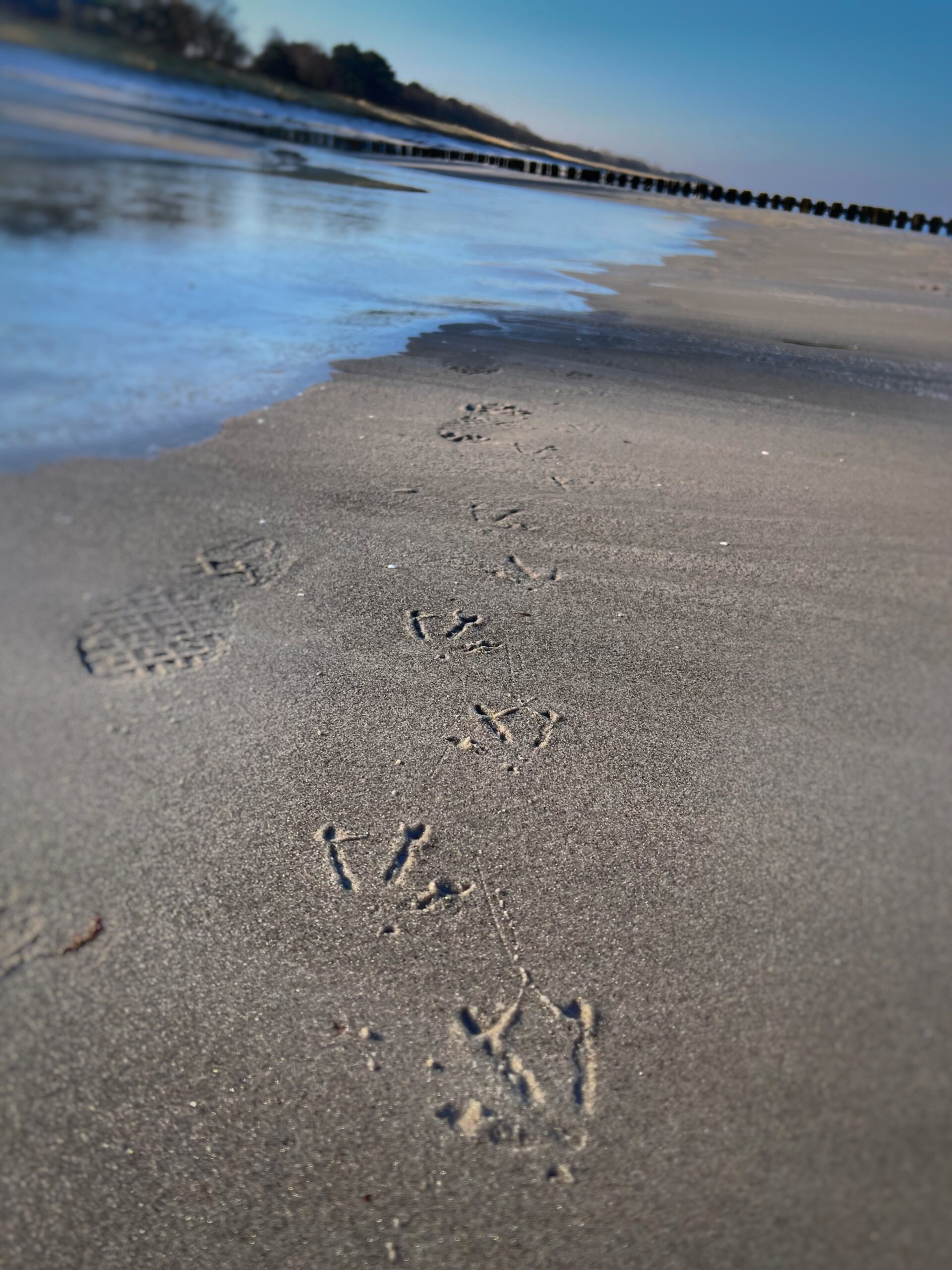 kw 04/26 – spuren im zingster sand