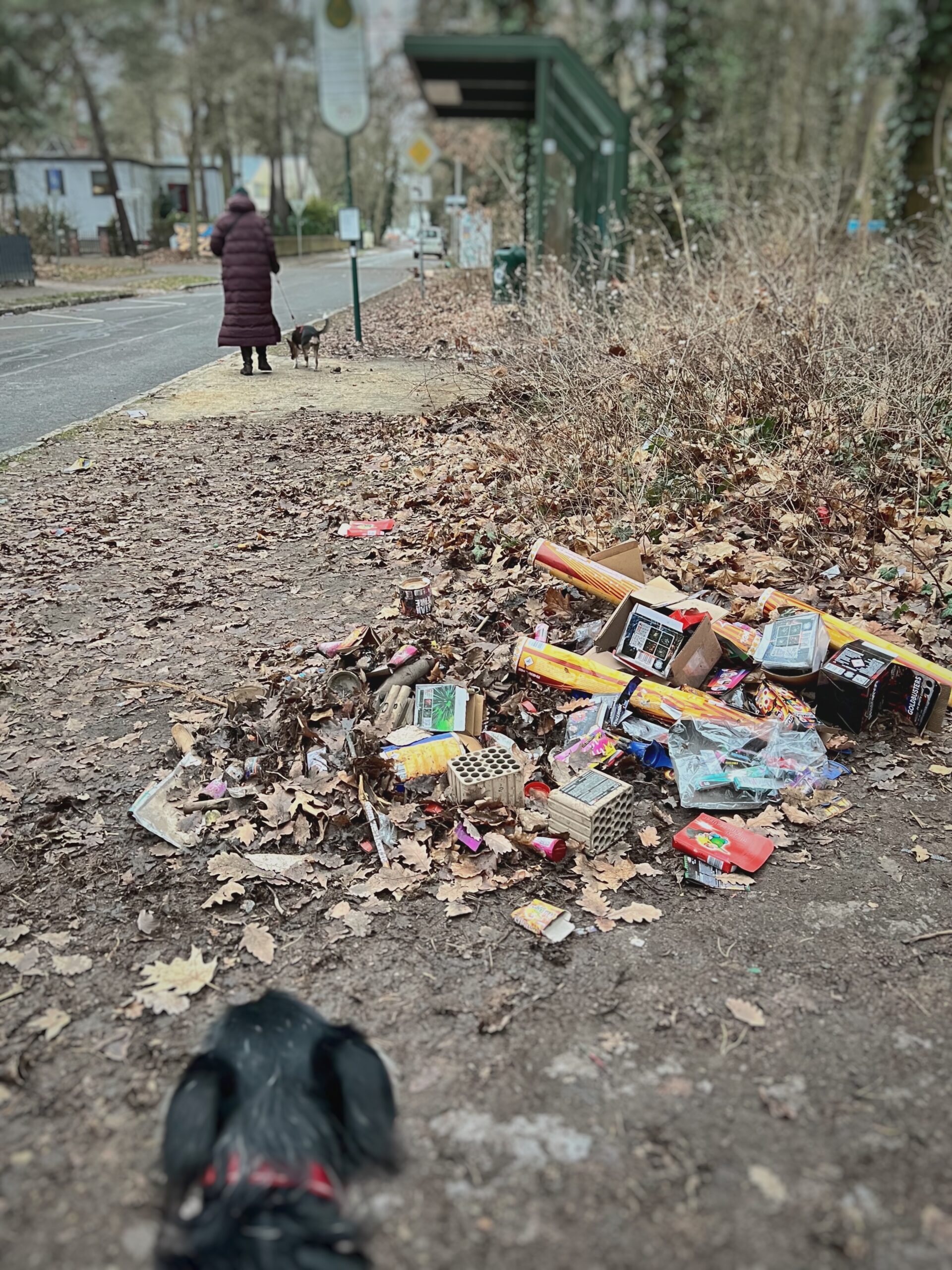 kw2601 muell. foto: m. hufner