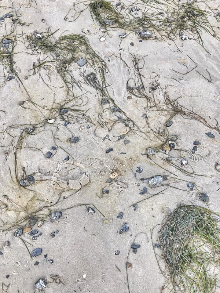 realitätssalon. Foto: Hufner