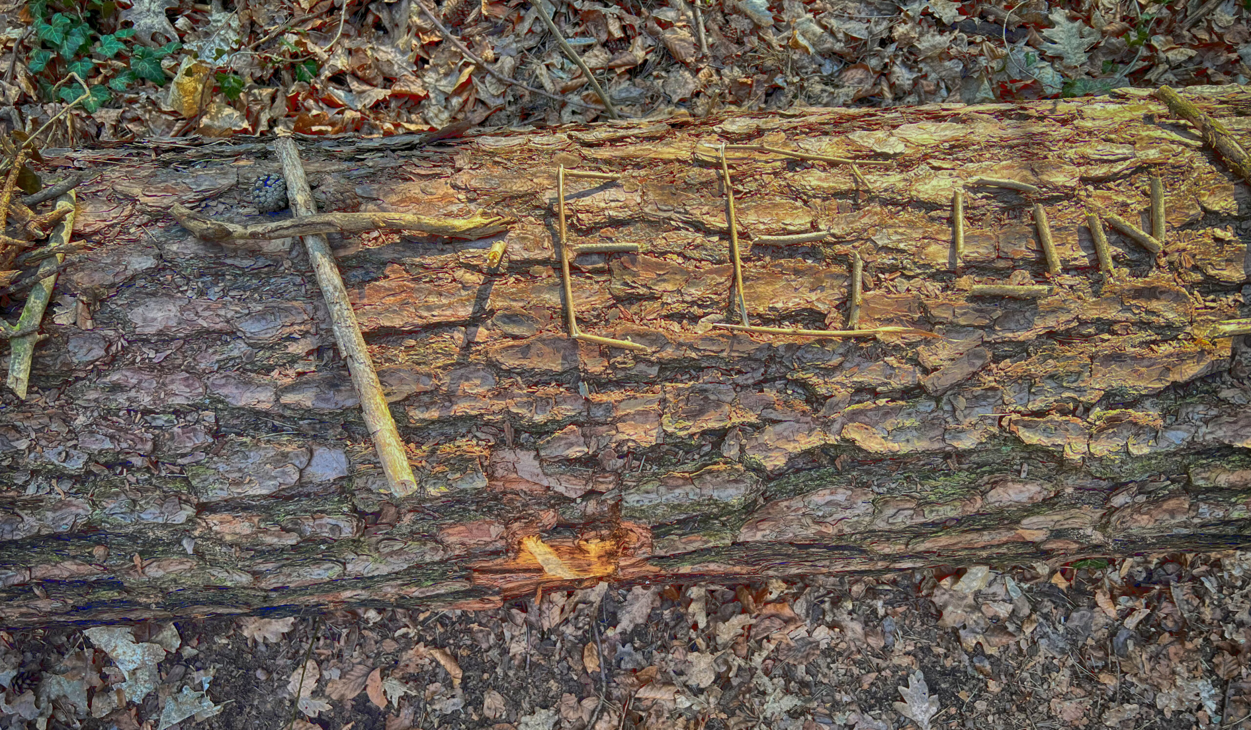 kw 16/26 – lesbar/unlesbar