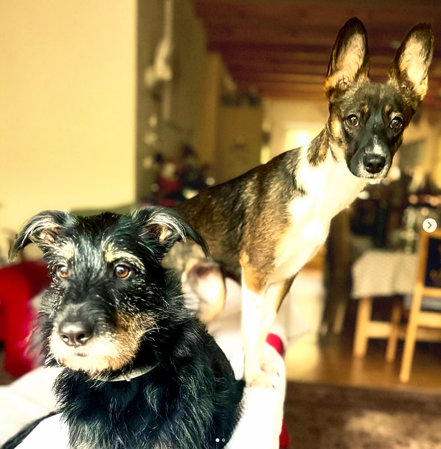 kw 17/26 – respekt