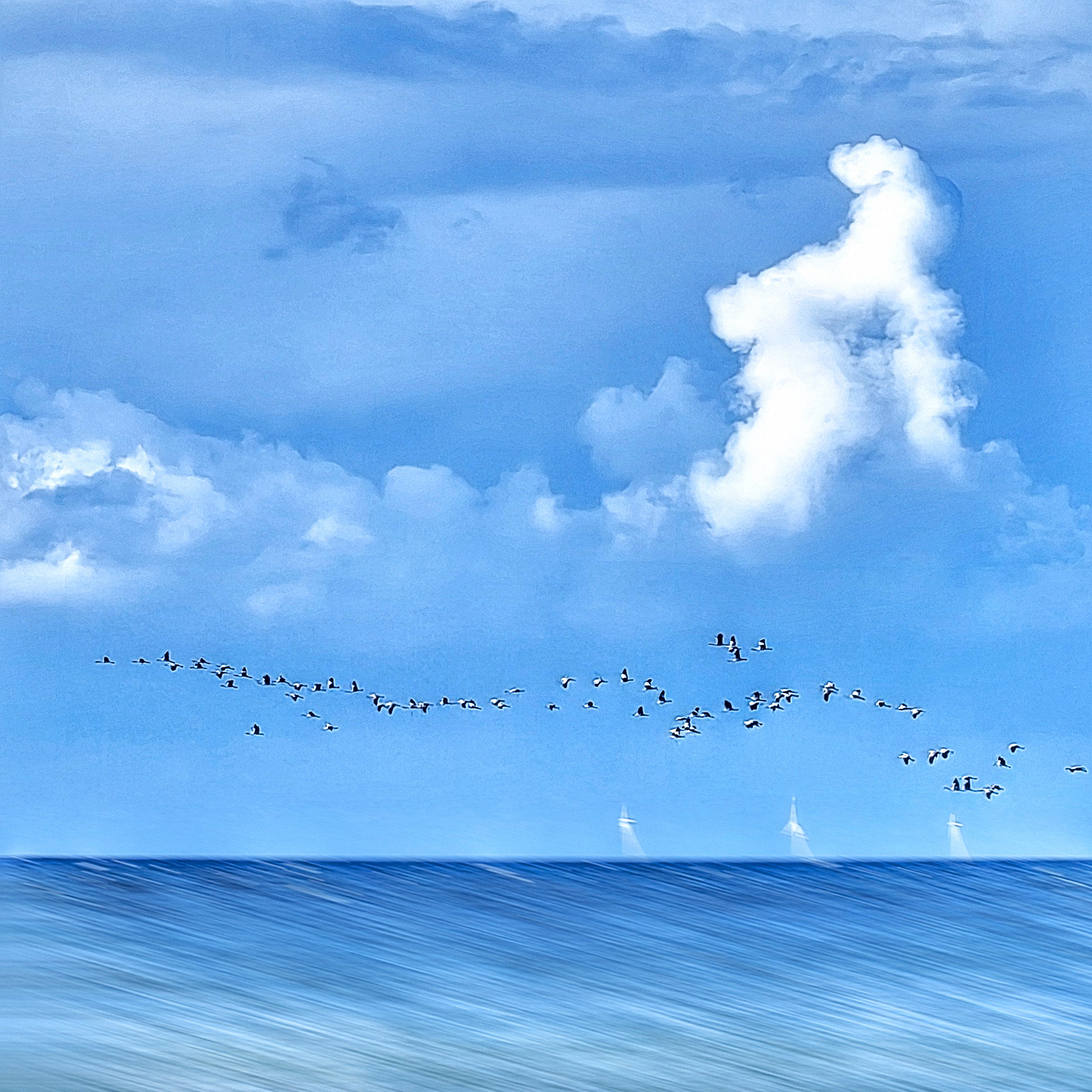 windkraftwerke bei zingst. foto: hufner